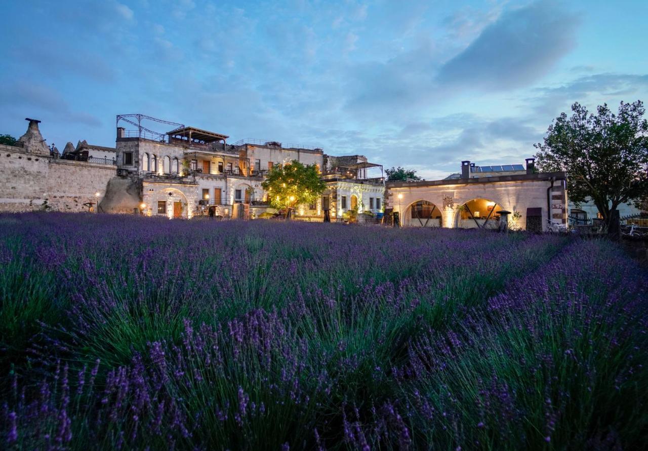 Design Cappadocia Hotel Göreme Esterno foto